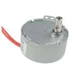 CHANCS TYD-50 Synchronous Motor 110V AC 4W Electric Motor For Rotisserie Grill